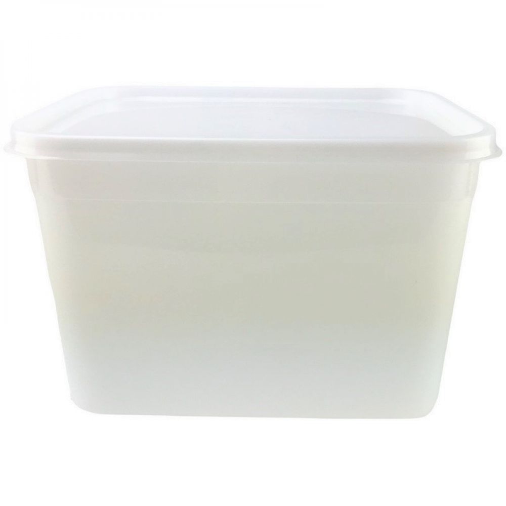 Food Containers : Rectangular ice Cream Container with Lid ...